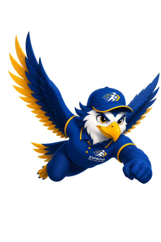Exprova Flying Falcon